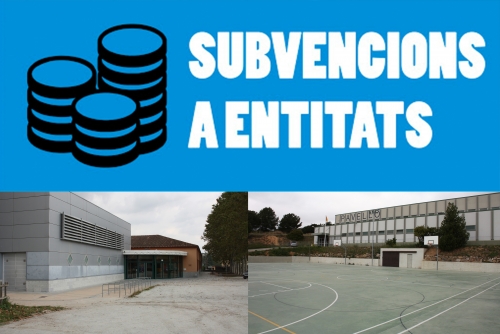 Subvencions a entitats culturals i esportives 2020