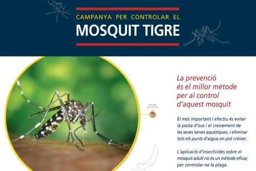 Mosquit tigre