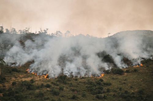 parcel·les sense edificació incendis