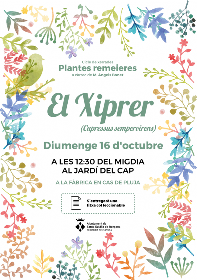 xiprer plantes remeieres