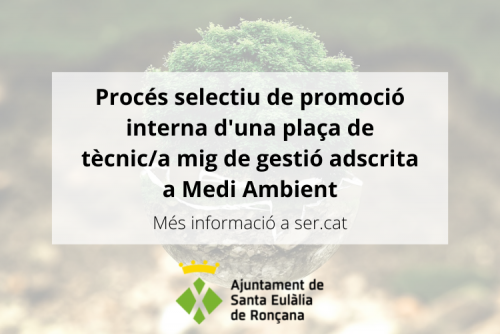 Procés selectiu medi ambient