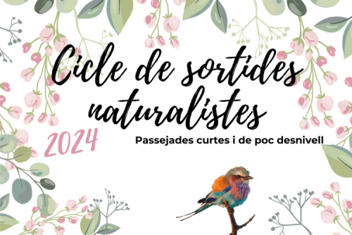 Cicle de sortides naturalistes 2024