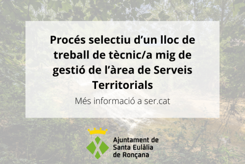 Procés selectiu tècnic mig de gestió de l’àrea de Serveis Territorials