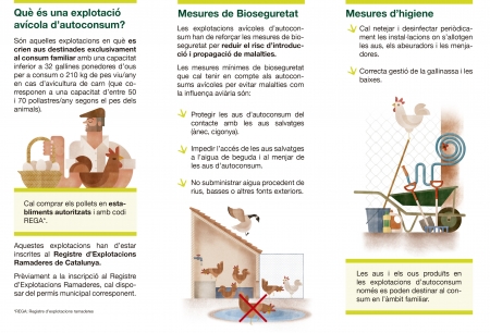 Tríptic Cria d’aus d’autoconsum2